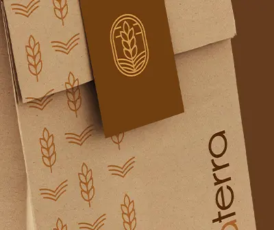 Projetos da Oxe